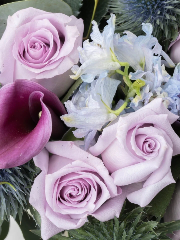 Flowers 2