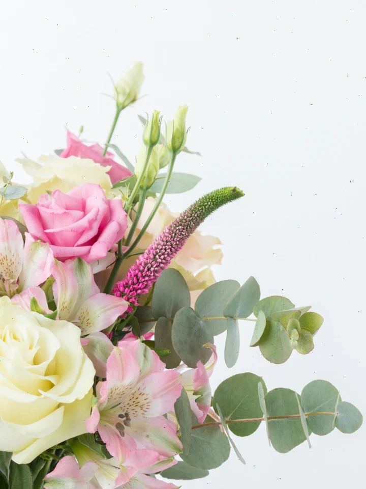 Flowers 3